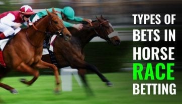 What types of bets are there in horse racing?